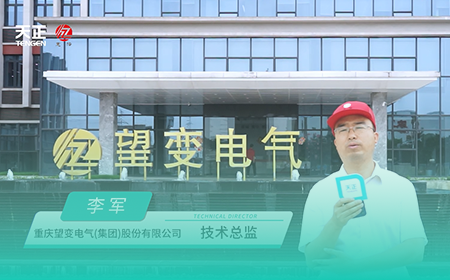 尊龙凯龙时官网进入x望变电气